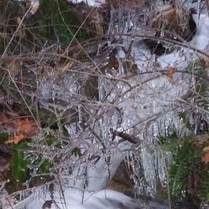 Meet your Posher, Jesse